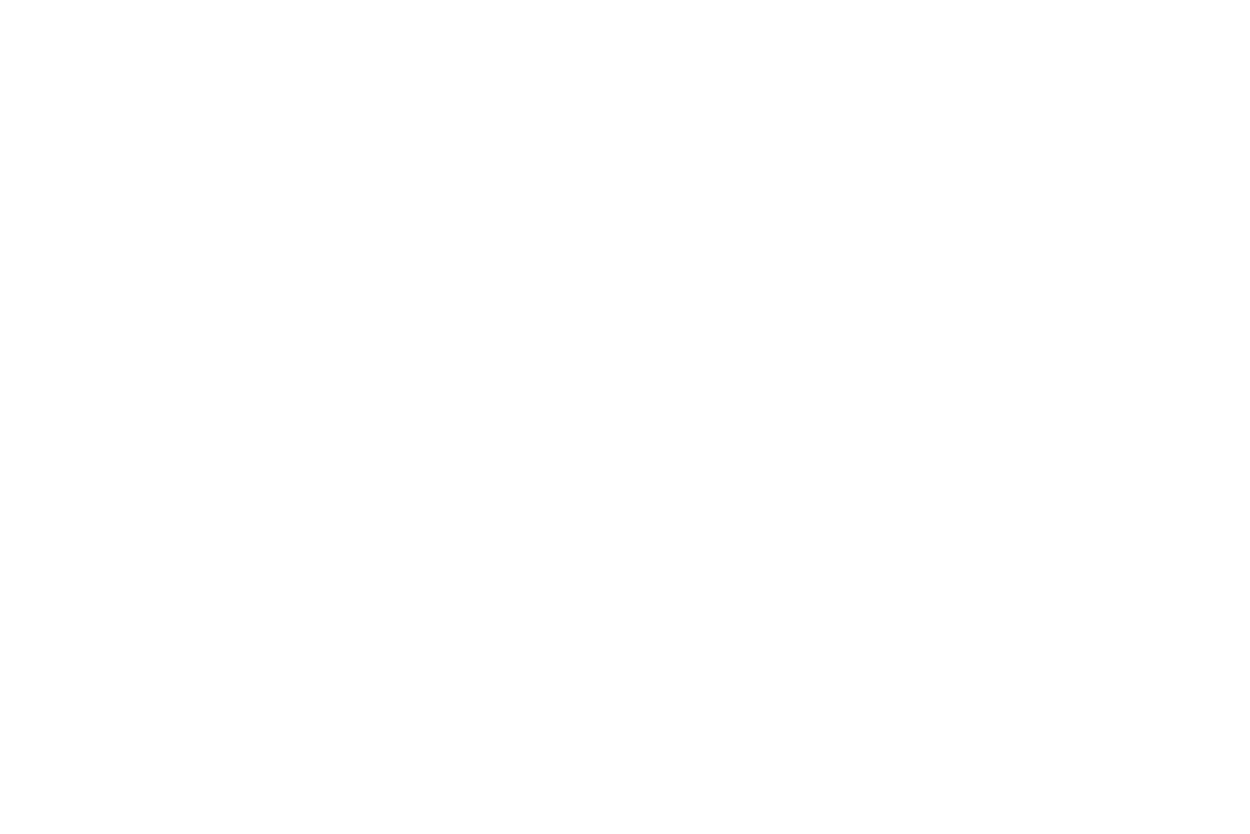 Baldessarini Logo in weiß