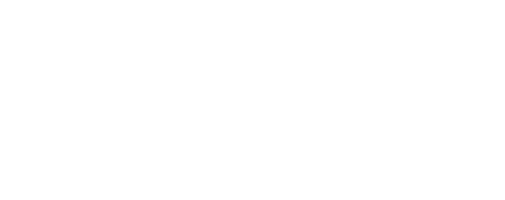 Bazar Deluxe Logo